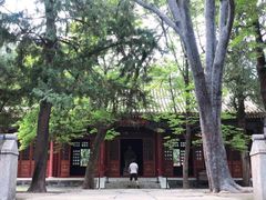 -香山公园