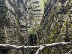 -梭布垭石林景区