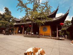 -龙华寺