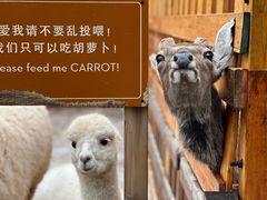 -丽江金茂凯悦臻选酒店-滇香馆