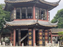 -碧江金楼