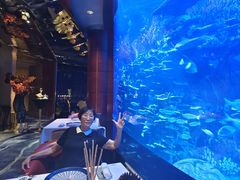 -迪拜帆船酒店海底餐厅