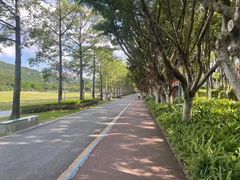-顺峰山公园