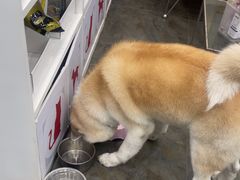 -暖阳宠物医院·犬猫康复中心·骨科