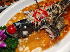-云海肴·汽锅鸡·云南菜(南强街店)