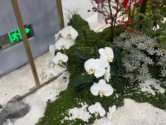 -芳村(地铁站)