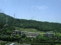 -大榭国际大酒店