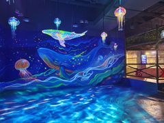 -顺德南宏海立方海洋公园