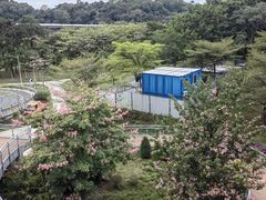 -广州雕塑公园