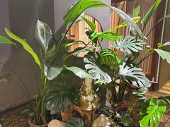 -邈墨茶馆(凤起路店)