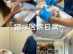 -泰洋动物医院·神经专科·磁共振·CT(天河公园总院)