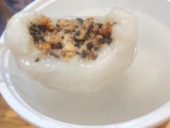-海丝金凤(金鱼店)
