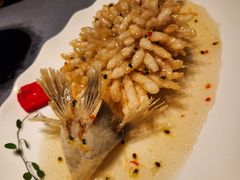 精灵松鼠桂鱼-海味观(老西门店)