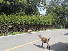 -三亚西岛海洋文化旅游区