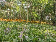 -长春市南湖公园