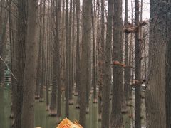 -采石矶景区