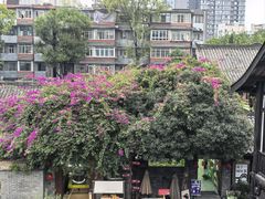 -星巴克臻选(成都宽窄巷子店)