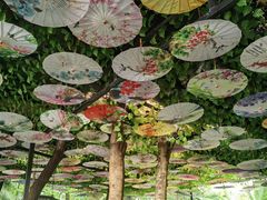 -呀诺达热带雨林