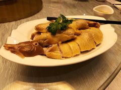 -椿记烧鹅(北门店)