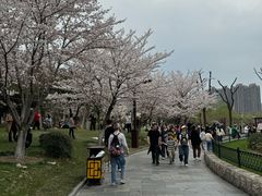 -堤角公园