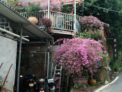 -铁炉农家菜馆