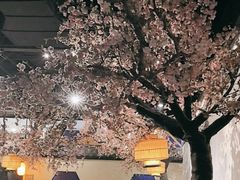 -绿茶餐厅(朝阳大悦城店)