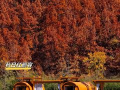 -九如山休闲旅游度假区