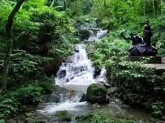 -莫干山风景区