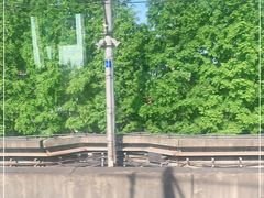 -浦江城市生活广场(江月路店)