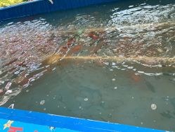 -萌宠亲子动物乐园(槐房万达店)