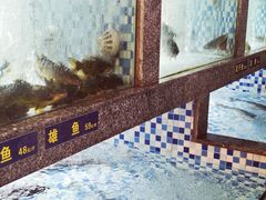 -格塘人家·山泉水煮鱼(望兴家园店)