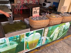 -大湾区中央湿地公园-十九涌