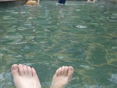 android_upload_pic-龙达温泉生态城