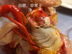 -虎虎龙虾大排档(双井店)