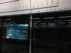 -大王庄(地铁站)
