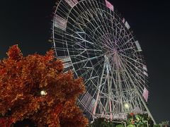 -南昌之星摩天轮