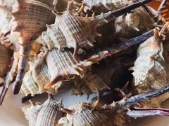 -有间冰室(侨港风情街店)