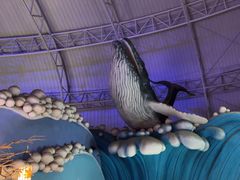 -烟台海昌鲸鲨海洋公园