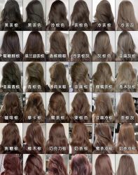 -GANO HAIR 