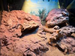 -酷嗒动物文化乐园(cutezoo西溪乐天城店)