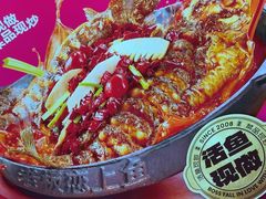 -老板恋上鱼(恒隆广场店)