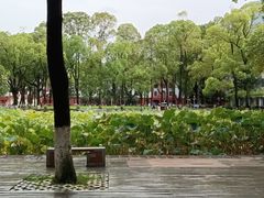 -四川大学(望江校区)