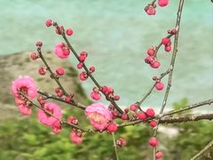 -重庆彩云湖湿地公园