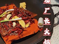 -龙厂长老火锅(抚琴店)