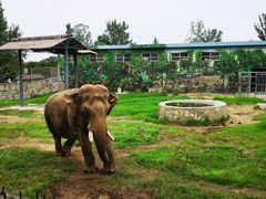 -西安秦岭野生动物园