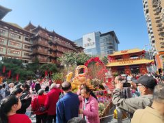 -越秀西湖花市(广州城市广场花卉店)