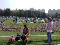 -共青国家森林公园-南大门停车场