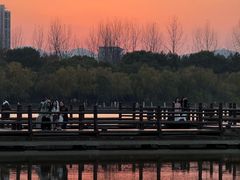 -浙江农林大学(东湖校区)