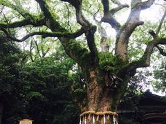 -热田神宫