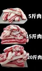 -香薇妮丝·定制减肥·身材管理